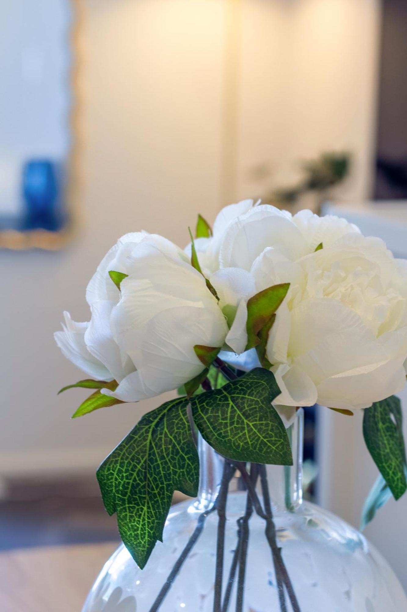 Explore From 8 Wilmer: Upper Level Cozy Studio Christchurch Esterno foto